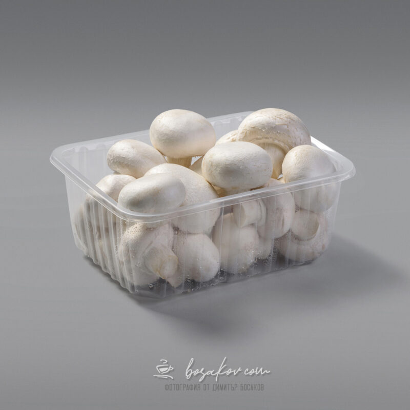 mushrooms product photography