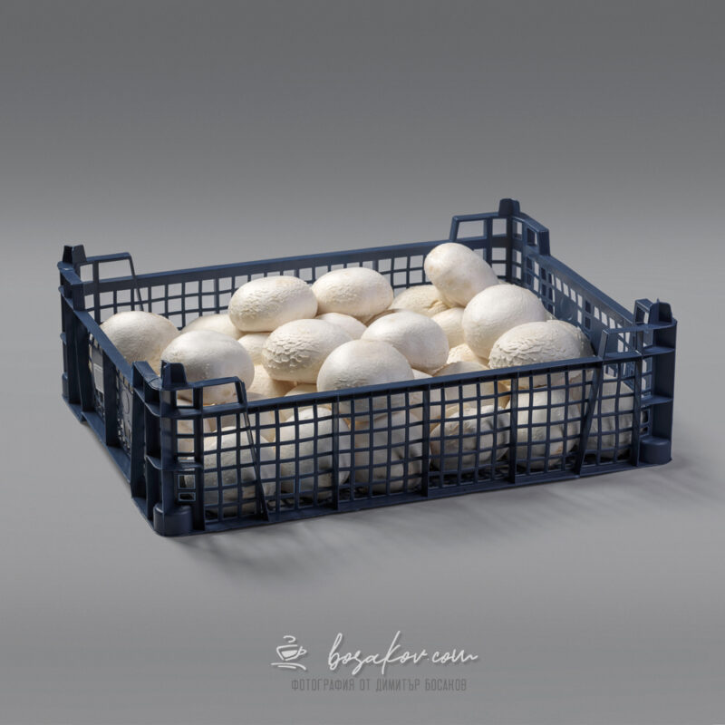 mushrooms product photography