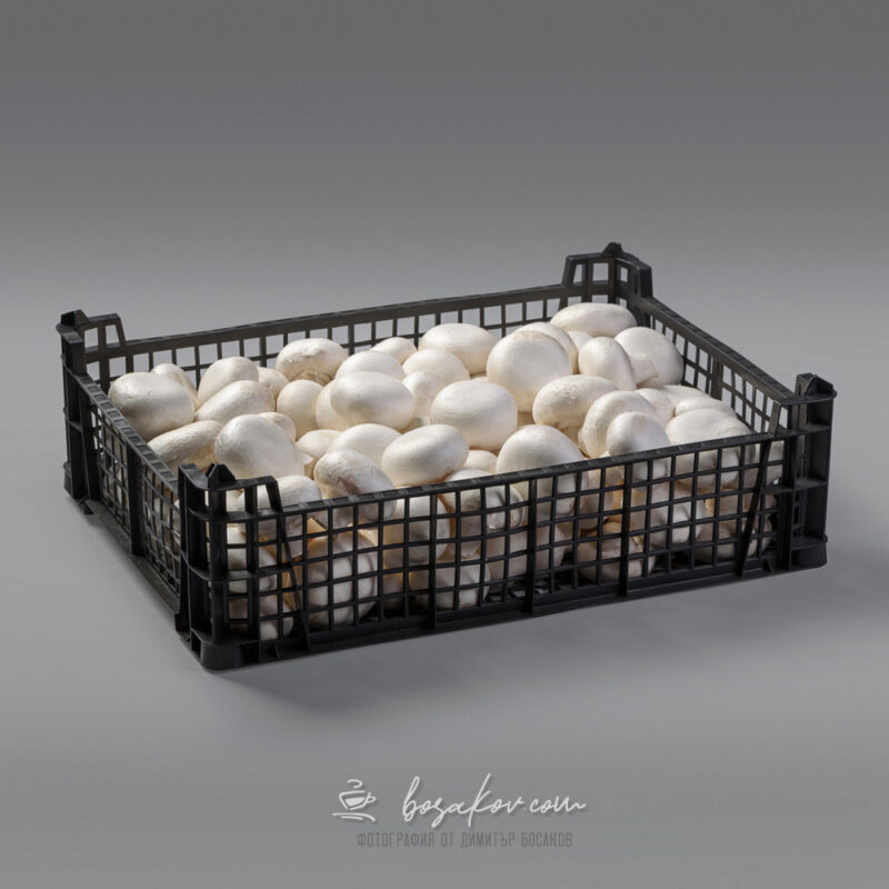 mushrooms product photography